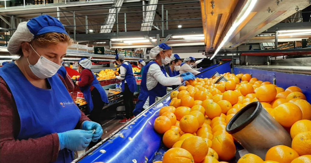 Almacén de frutas